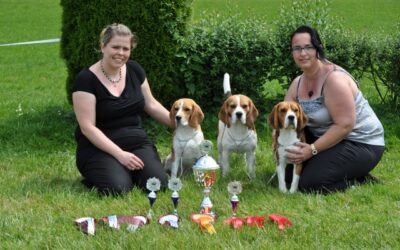 Club Winner Show of the Swiss Beagle Club