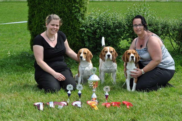 Clubsiegerschau des Schweizer Beagle Club