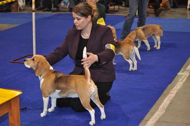 Auf geht’s nach Prag