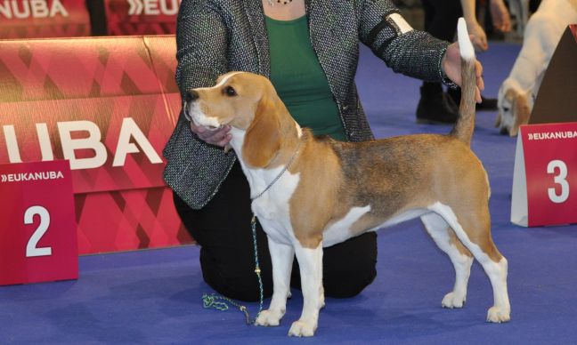 Back on tour after a long break