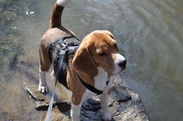 Start of the 2014 exhibition season in Austria