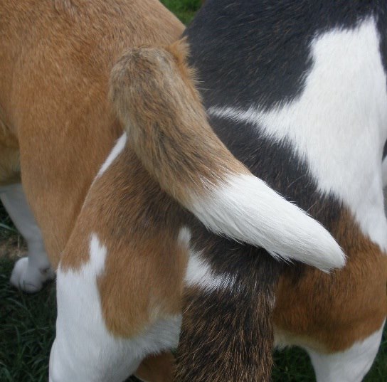 Wir waren Erfolgreich!!!!