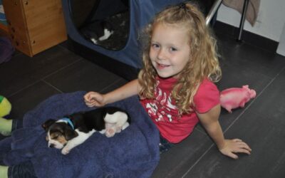 Our elves discover the world