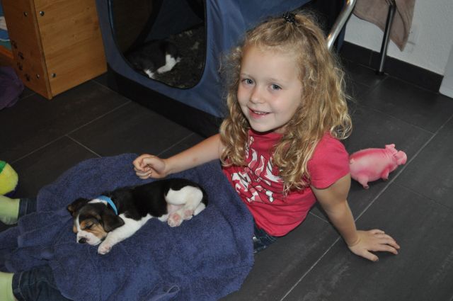 Unsere Elfen entdecken die Welt