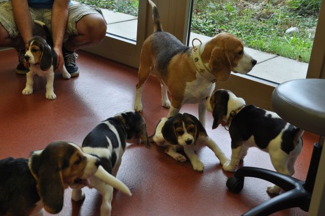 Ein Großer Tag für die kleinen Elfen