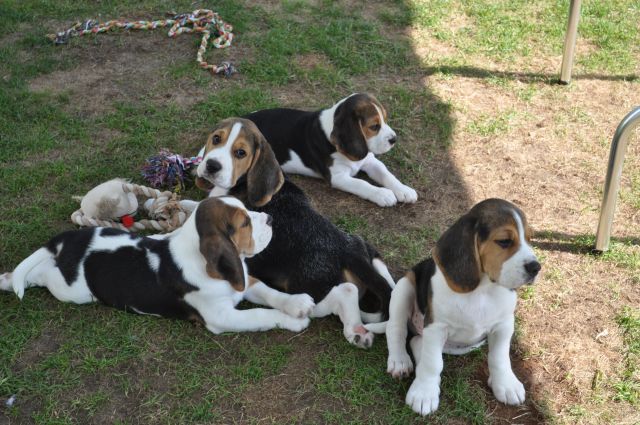 Wie schnell die Zeit vergeht