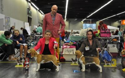 Show season 2015 begins!!!