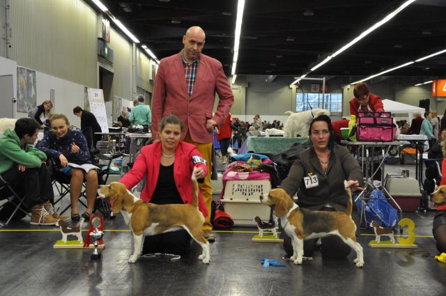 Showsaison 2015 beginnt!!!