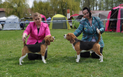 After the rain, the sun shines all the more beautifully!