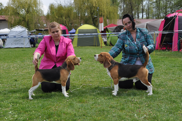 Nach dem Regen scheint die Sonne umso schöner!
