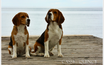 Cassy rocks the ring in Zadar!!!!