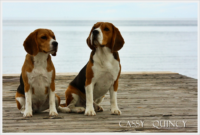 Cassy rockt den Ring in Zadar!!!!