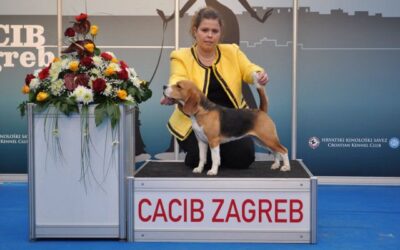 A fantastic end to the year in Zagreb!!!!