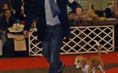 Fehova Winter Dog Show 2016