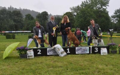 Cassy bei der IHA Aarau 2016