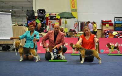 A dream start to a dream vacation!!!!