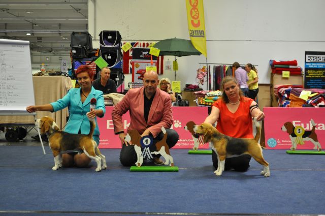 A dream start to a dream vacation!!!!