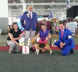 One weekend, two shows and lots of fun!!!!!!