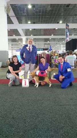 One weekend, two shows and lots of fun!!!!!!