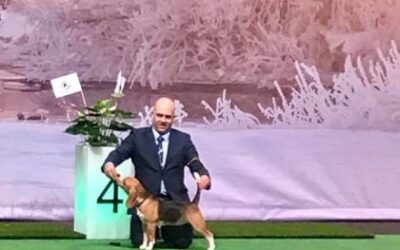 IDS Katowice wie jedes Jahr eine Reise wert!!!