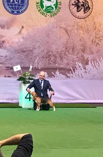 IDS Katowice worth the trip like every year!!!