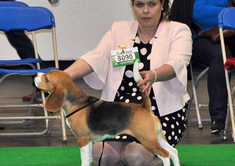Crufts 2018