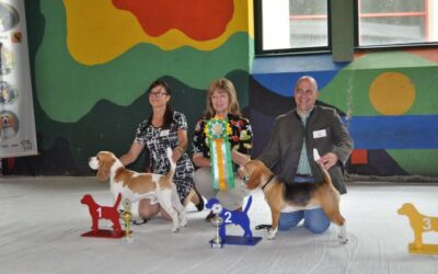 Es gibt vieles zu erzählen!!!!