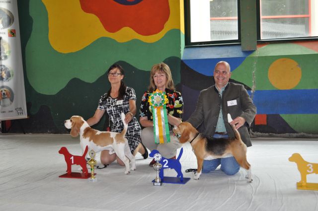 There is a lot to tell!!!!