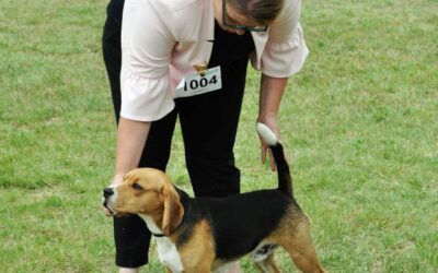 Die ersten Championate für Golden Swissline!!!!