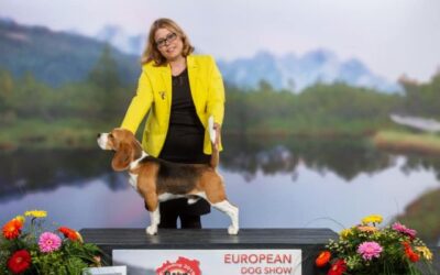 European Dog Show 2019