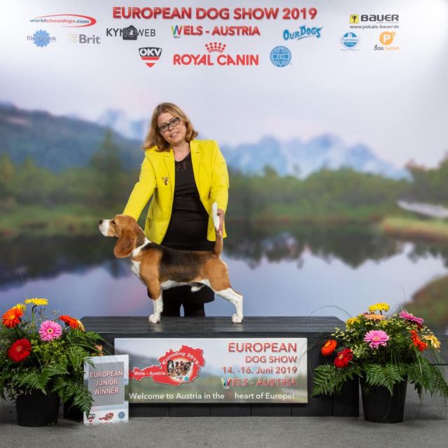 European Dog Show 2019
