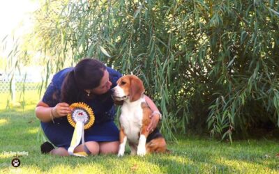 Toffee rockt Kreuzlingen!!!!!!