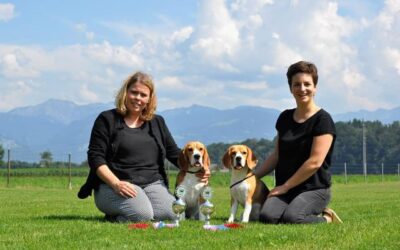 Wir haben einiges zu erzählen!!!