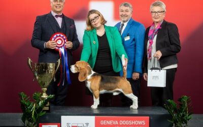 Curtis verzaubert Genf!!!!!