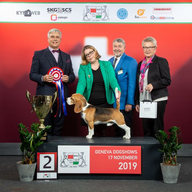 Curtis enchants Geneva!!!!!