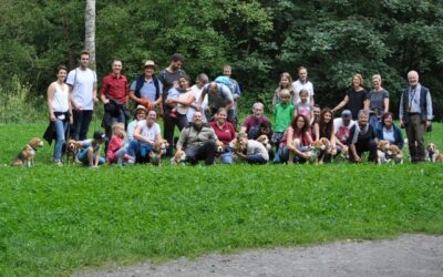 Es ist Zeit zurück zu blicken!!!