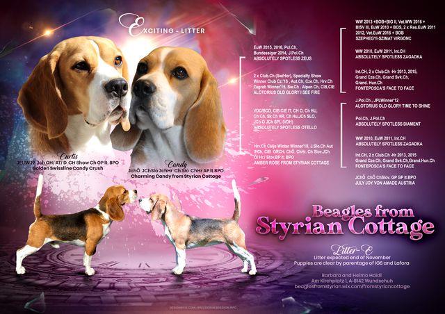 Curtis X Charming Candy from Styrian Cottage – EN