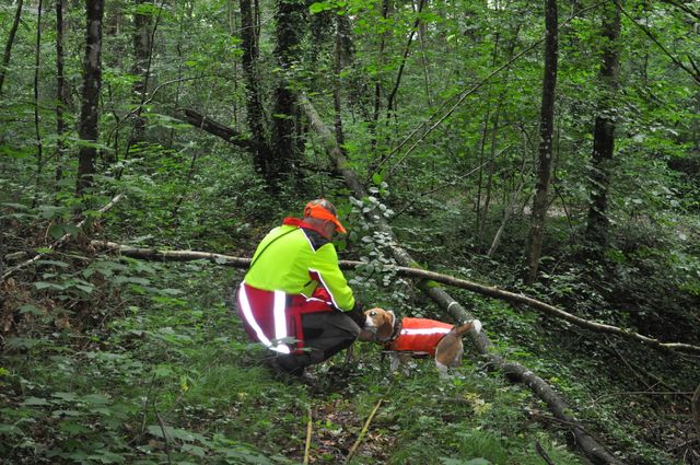 Despite Covid-19, there is a lot to report!!!!!