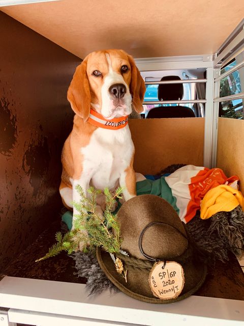 Wonderful days in Wenns