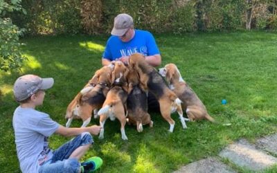 Curtis successfully completes his GP!!!!