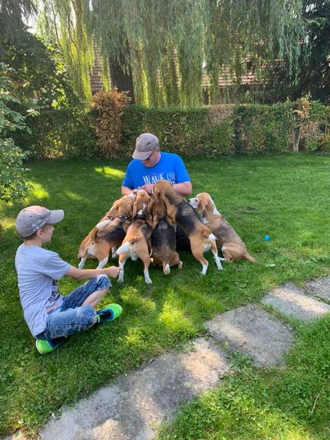 Curtis schließt seine GP erfolgreich ab!!!!