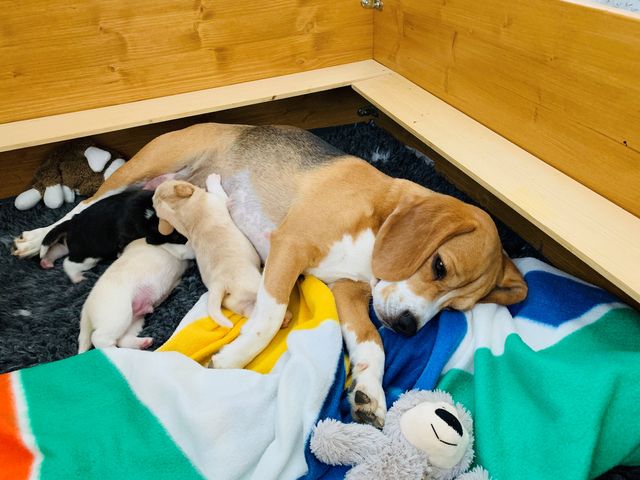 2020, wenn alles anders kommt als man denkt!!!