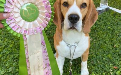 And soon it will be fall again!!!