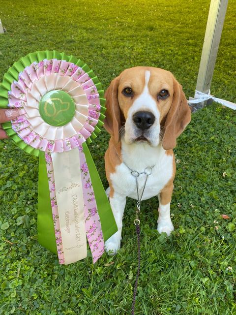 Und schon bald ist wieder Herbst!!!