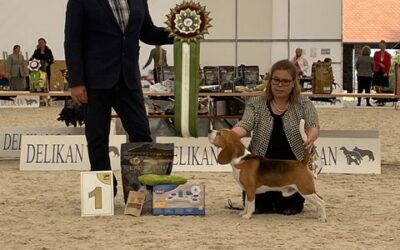 Almost like in the old days!!!!