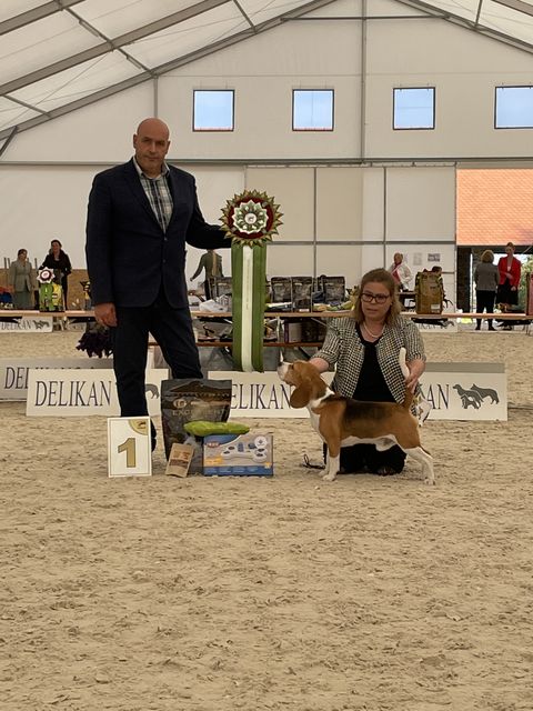 Fast wie früher!!!!