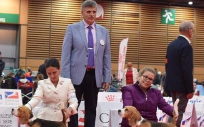 There’s always something going on here!!!