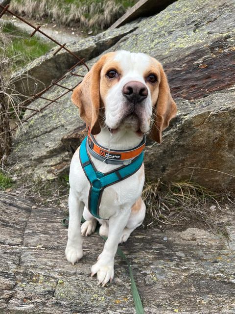 Wir suchen ein neues Zuhause