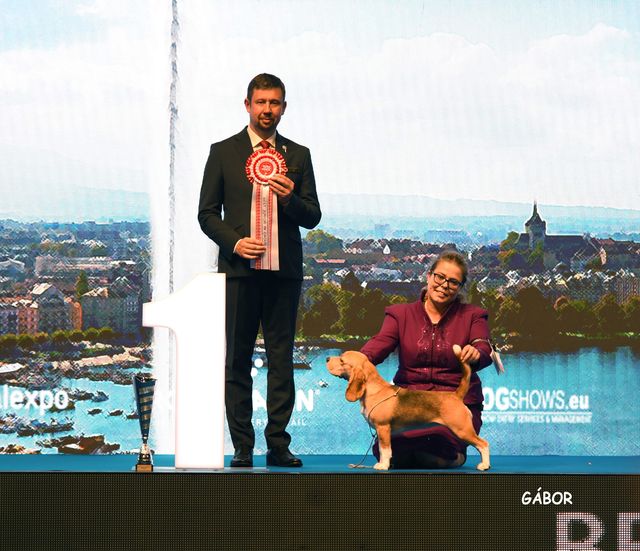 IF YOU CAN DREAM IT, YOU CAN DO IT !!!!!!