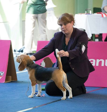 2015 IHA Oberwart – EN